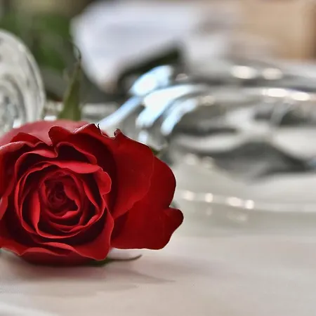 Artemis 4* Herszonisszosz