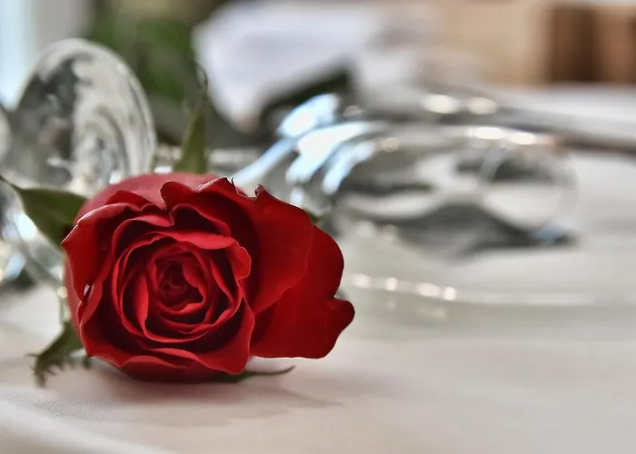 Artemis 4* 赫索尼索斯