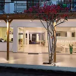 شقة فندقية Artemis